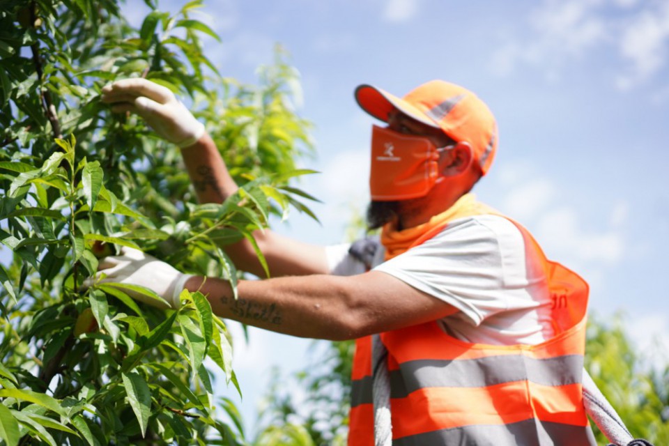 seguridad_sector_agro.jpg